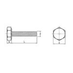 Brass Bolt